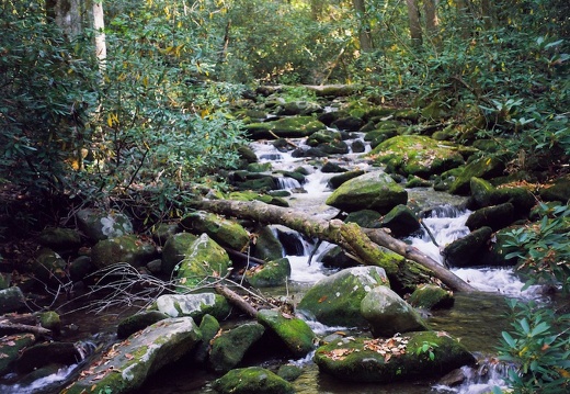 Gabes Mountain Trail